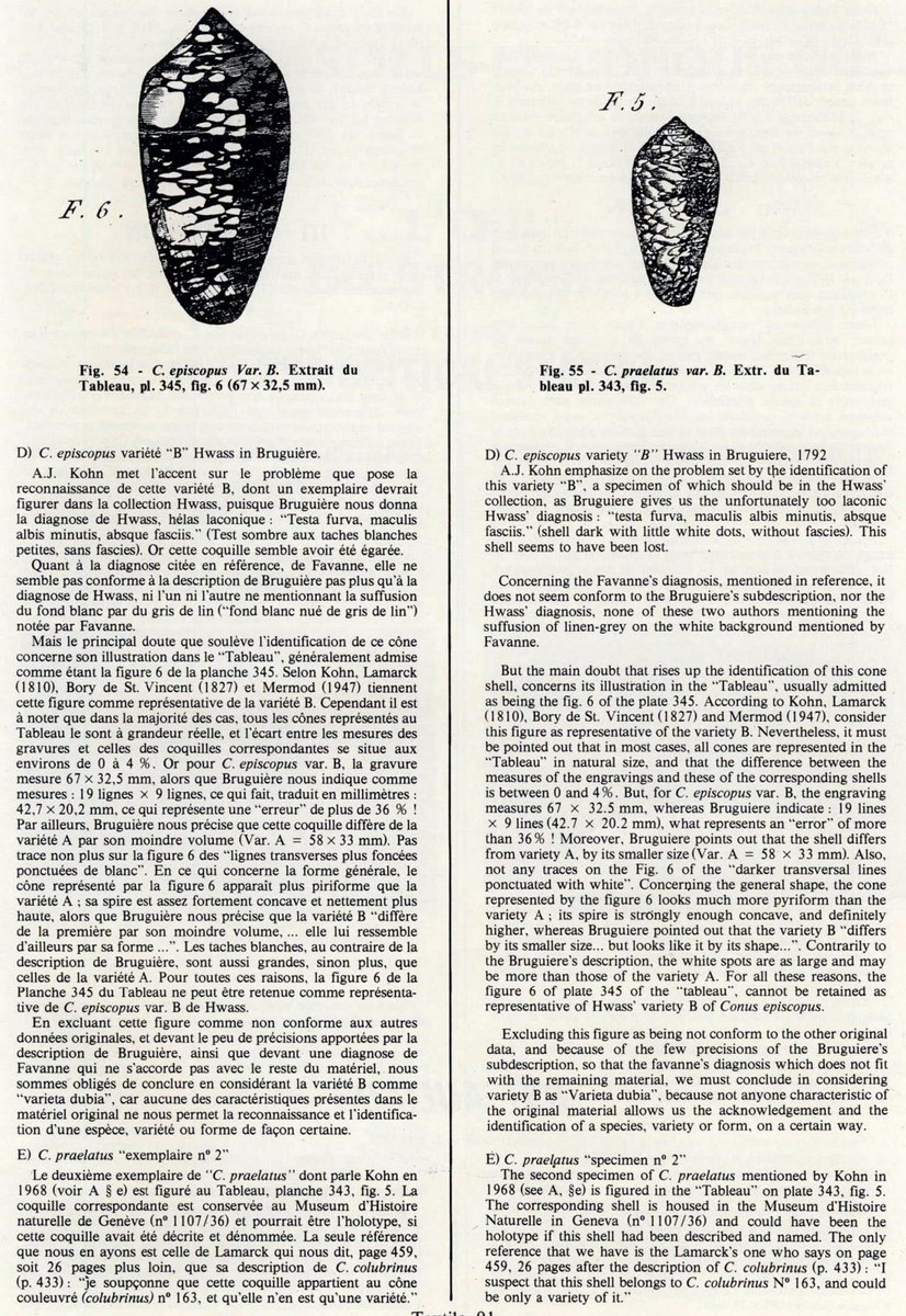 Conus praelatus
